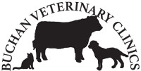 Buchan Veterinary Clinics