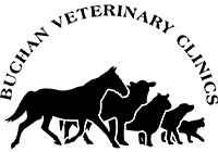 Buchan Veterinary Clinics